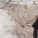 ریزش بهمن در محور «جنت رودبار» رامسر باعث انسداد مسیر شد