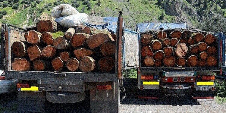 ضرورت بازنگری در قانون بازدارندگی قاچاق چوب
