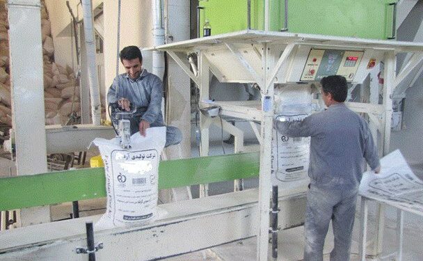 ظرفیت اسمی تولید ماهانه حدود ۱۰۰ هزار تن آرد در ۲۱ کارخانه مازندران