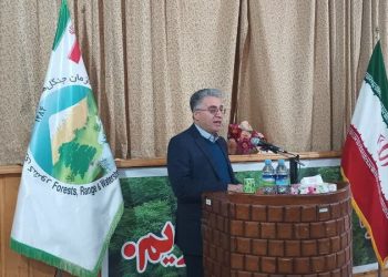 لزوم استقرار ساختار مدیریت پایدار جنگل‌های هیرکانی