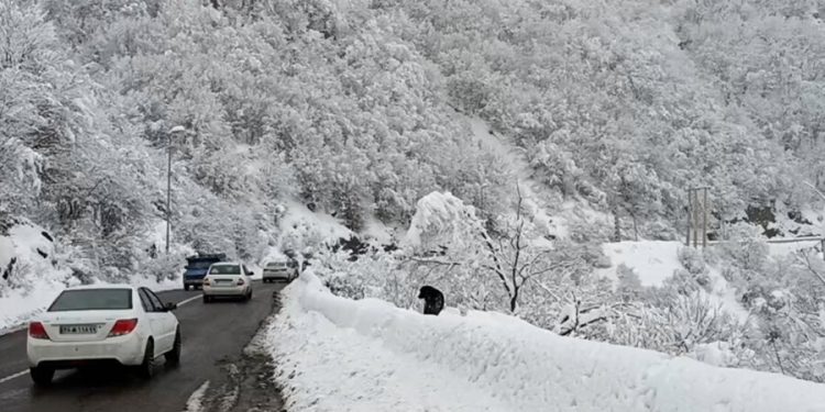 ویدئو/ تلاش بی‌وقفه راهداران و پلیس‌راه در محور کندوان چالوس