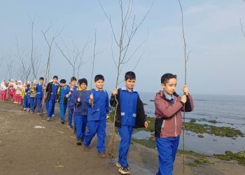 کسب مقام اول کشوری دانش‌آموزان مازندرانی در طرح نهال‌کاری «در سایه پدر»