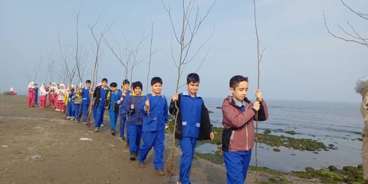 کسب مقام اول کشوری دانش‌آموزان مازندرانی در طرح نهال‌کاری «در سایه پدر»