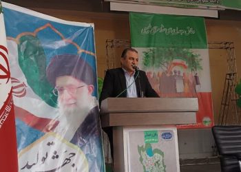 آمار قاچاقچیان چوب در مازندران نگران‌کننده است