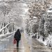 تداوم بارش برف و باران در مازندران