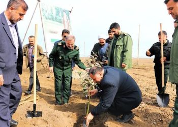 کاشت یک میلیون نهال توسط بسیج مازندران تا اردیبهشت ۱۴۰۴