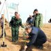کاشت یک میلیون نهال توسط بسیج مازندران تا اردیبهشت ۱۴۰۴