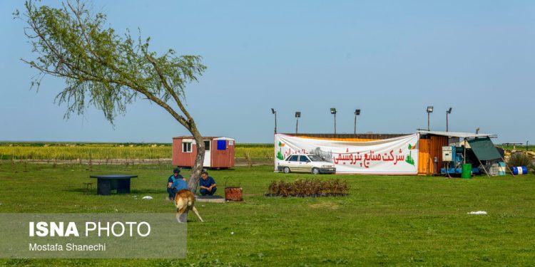 اراضی واگذار شده به پتروشیمی موسوم به میانکاله مسترد می‌شود