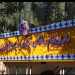 اعلام زمان برگزاری آزمون صلاحیت حرفه‌ای سازمان نظام روانشناسی