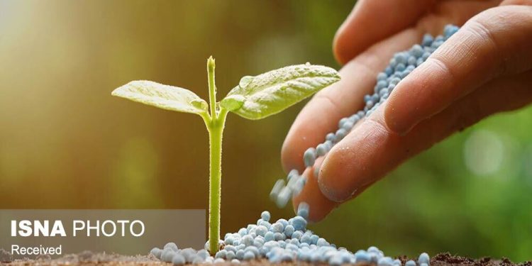 بررسی آخرین وضعیت کود کشاورزی در مازندران