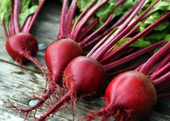  توسعه کشت چغندر علوفه‌ای برای کاهش هزینه و افزایش تولید گوشت قرمز