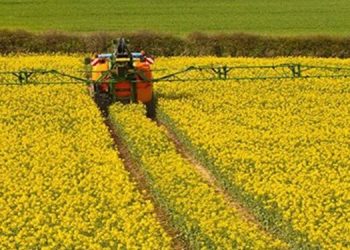 حل مشکلات کشاورزان حوزه زراعت دانه‌های روغنی در مازندران