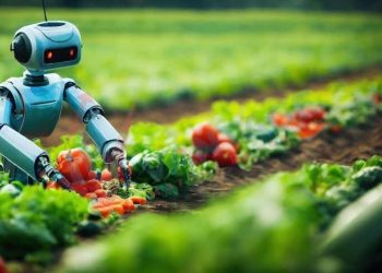 رونمایی از آینده کشاورزی ایران با رویداد ملی هوشمندسازی و هوش مصنوعی در ساری