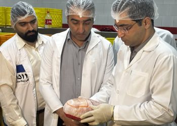 اجرای موفق طرح ملی پایش باقی‌مانده دارویی در گوشت مرغ در مازندران