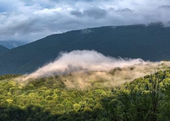 از آسمان صاف تا رگبارهای پراکنده در مازندران