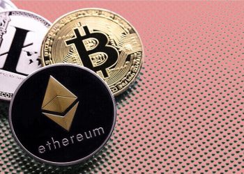 از کشف قارچ ترافل تا بازداشت کلاهبردار ارز دیجیتال در مازندران