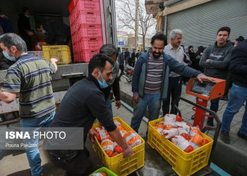 افزایش چشمگیر عرضه مرغ به بازارهای تهران و سایر استان‌ها 