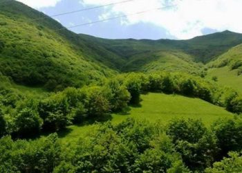 اقدام موثری در مورد اخذ سند اراضی خالصه در استان مازندران صورت نگرفته است