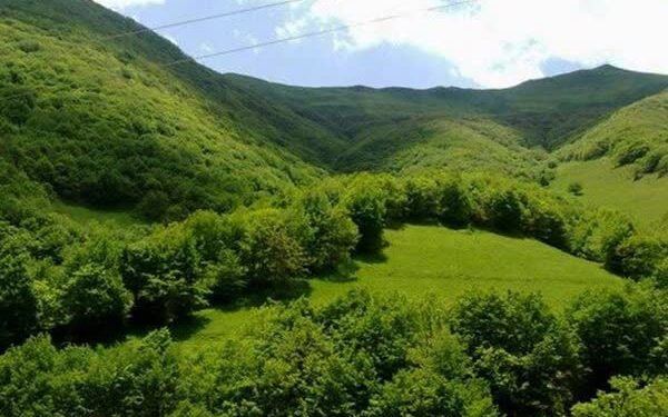 اقدام موثری در مورد اخذ سند اراضی خالصه در استان مازندران صورت نگرفته است