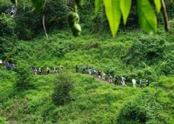 اکوتوریسم؛ راه نجات مازندران از چرخه تخریب اراضی کشاورزی