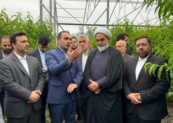 درباره استمهال تسهیلات به کشاورزان کمک شود