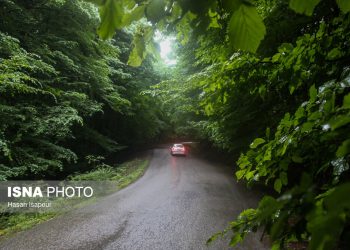 شهر «زیراب» سوادکوه؛ پایتخت جنگلهای هیرکانی
