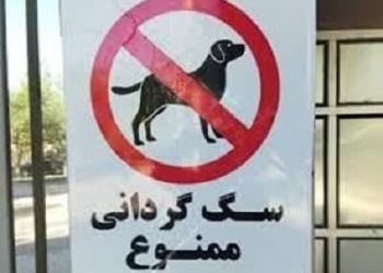 سگ‌گردانی در مازندران ممنوع است