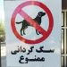 سگ‌گردانی در مازندران ممنوع است