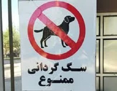 سگ‌گردانی در مازندران ممنوع است