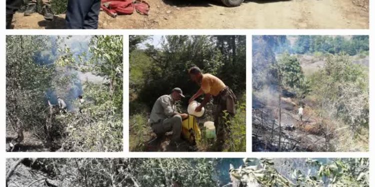مهار و اطفا حریق در پناهگاه حیات وحش کیاسر