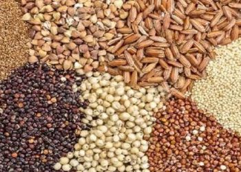 تداوم حمایت از دامداران