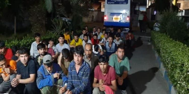 جمع آوری و طرد اتباع غیر مجاز در تنکابن