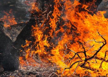 خطر آتش‌سوزی در مراتع و جنگل‌های مازندران