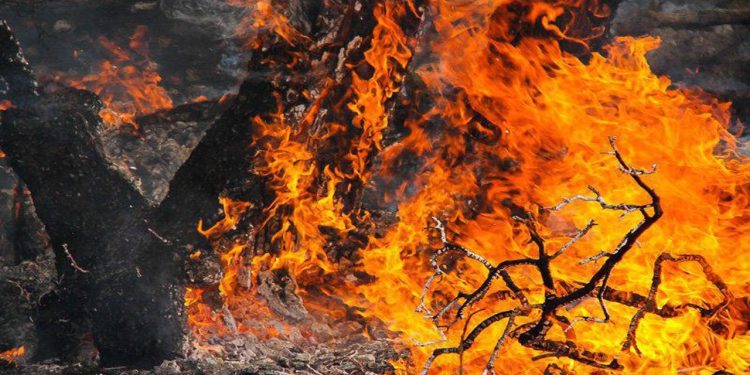 خطر آتش‌سوزی در مراتع و جنگل‌های مازندران