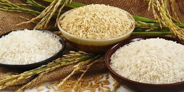 درخواست تمدید ممنوعیت واردات برنج در فصل برداشت
