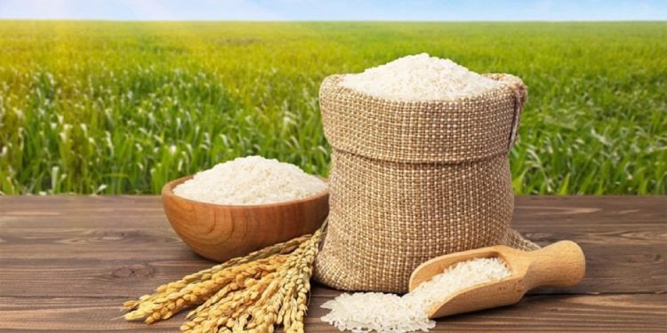 شتاب زودهنگام قیمت برنج در آستانه برداشت؛ بازی روانی واسطه‌ها یا کاهش ذخایر انبارها