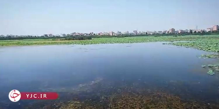 شهر تالابی بابل فرصتی برای جذب گردشگر + فیلم