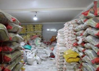 هشدار به انبارداران و شالیکوبی‌ها؛ رزمایش سراسری رصد و پایش برنج در مازندران آغاز می‌شود