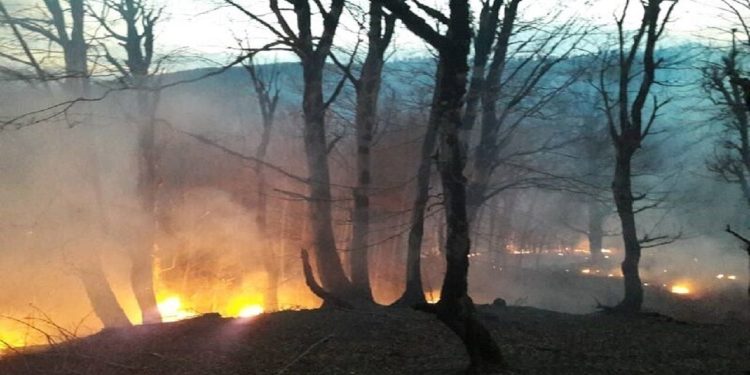 هشدار وقوع آتش‌سوزی در مراتع و جنگل‌های مازندران
