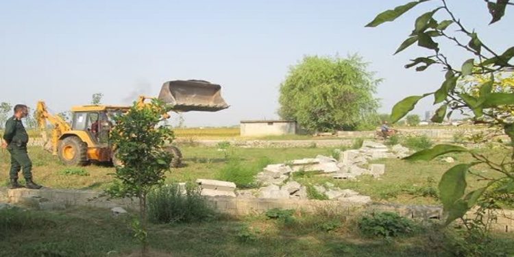 آزادسازی اراضی کشاورزی ۱۵۰ میلیاردی در نور