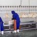تامین مرغ پایتخت و سایر استان‌ها در کشتارگاه های مازندران