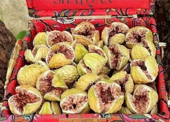 توسعه صادرات میوه بهشتی