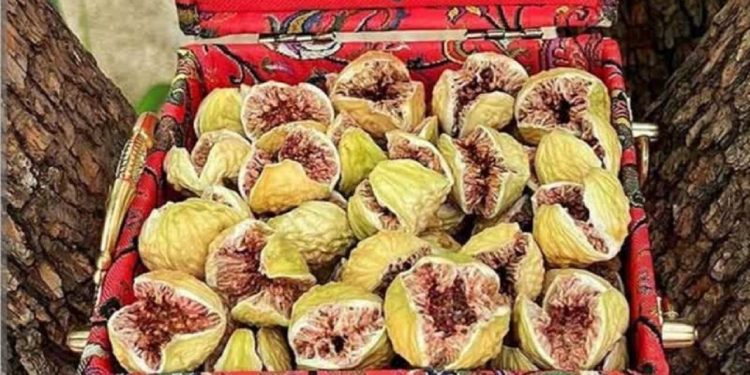 توسعه صادرات میوه بهشتی
