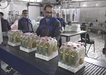 حمایت از مشاغل خانگی در اولویت برنامه‌های دولت
