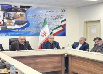 حمایت مجلس از قیمت‌گذاری ارقام برنج پرمحصول