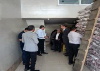 رصد انبار‌های برنج در بابل؛ با اخلالگران بازار برخورد قانونی می شود