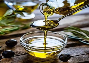 روغن زیتون نهال تقلبی و غیراستاندارد است