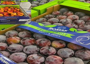 صادرات ۲۲ تن میوه تازه به قطر