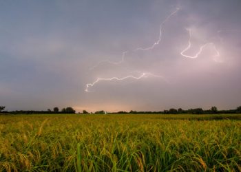 مسئولیت صدور اسناد زمین‌های کشاورزی به سازمان امور اراضی واگذار شد