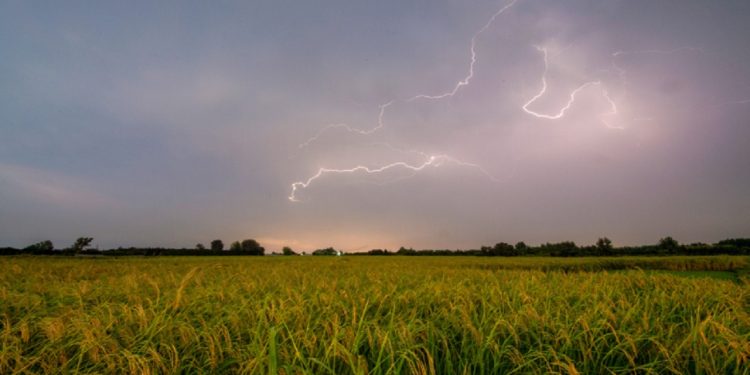 مسئولیت صدور اسناد زمین‌های کشاورزی به سازمان امور اراضی واگذار شد